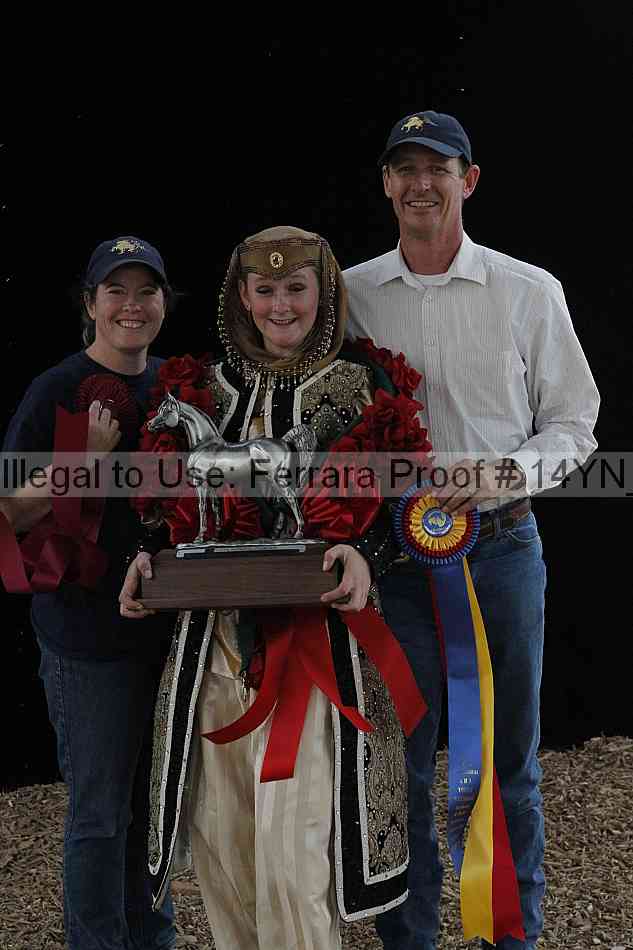 Proof 14yn_31387