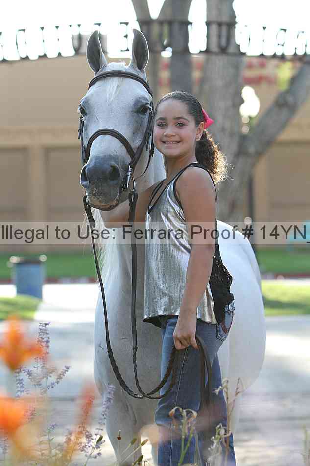 Proof 14yn_27083