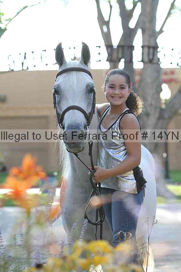 Proof 14yn_27086