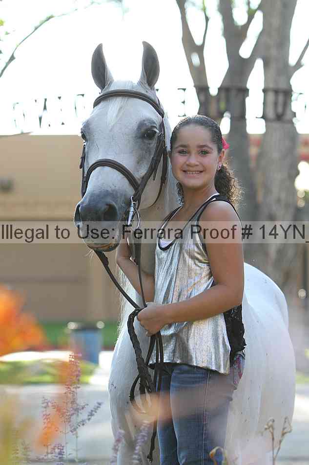 Proof 14yn_27088