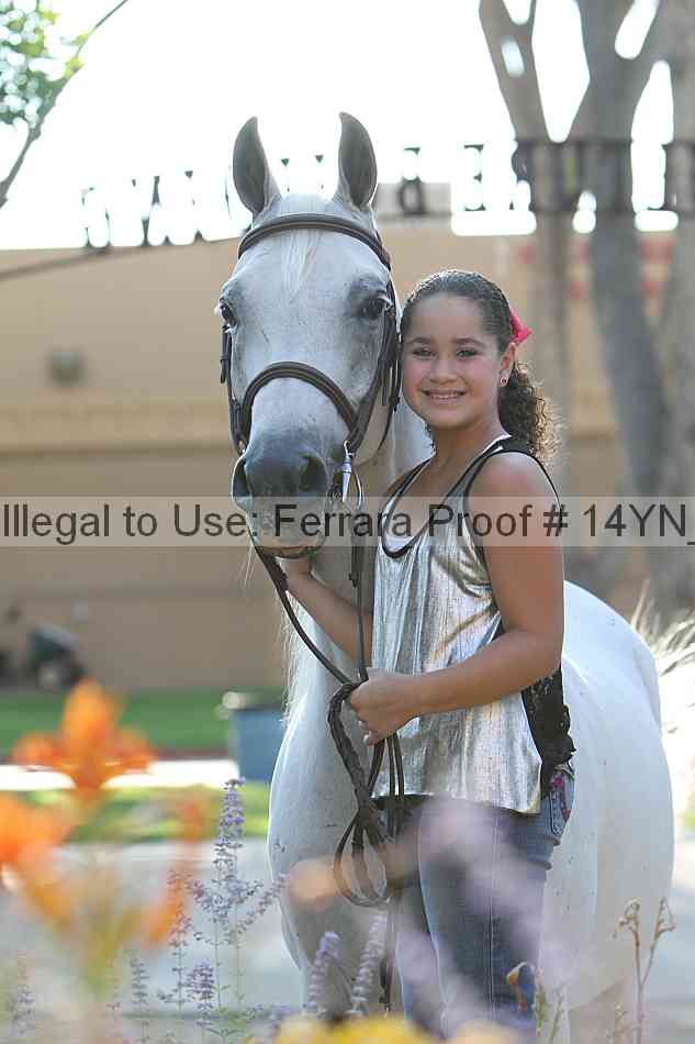 Proof 14yn_27089