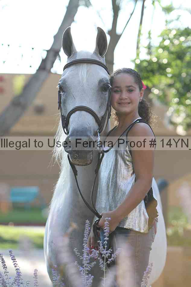 Proof 14yn_27090