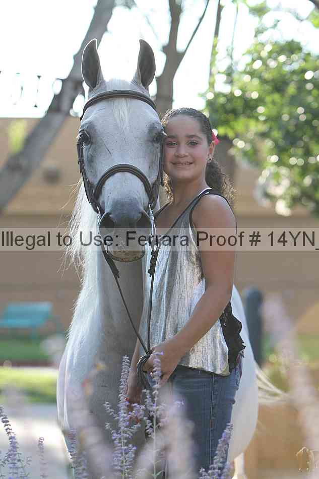 Proof 14yn_27091