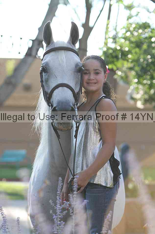 Proof 14yn_27092