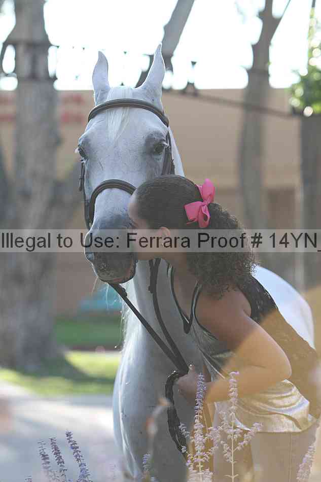 Proof 14yn_27093