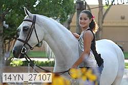 14yn_27107 proof