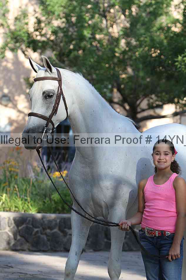 Proof 14yn_27111