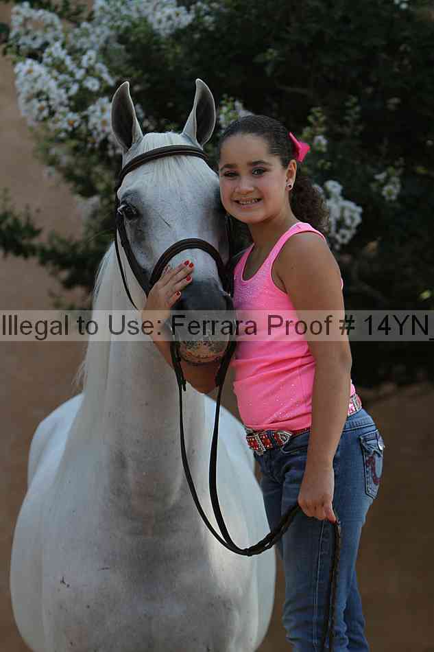 Proof 14yn_27146