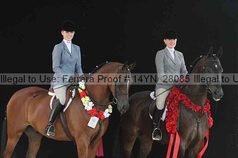 Proof 14yn_28085