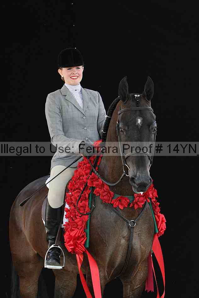 Proof 14yn_28092