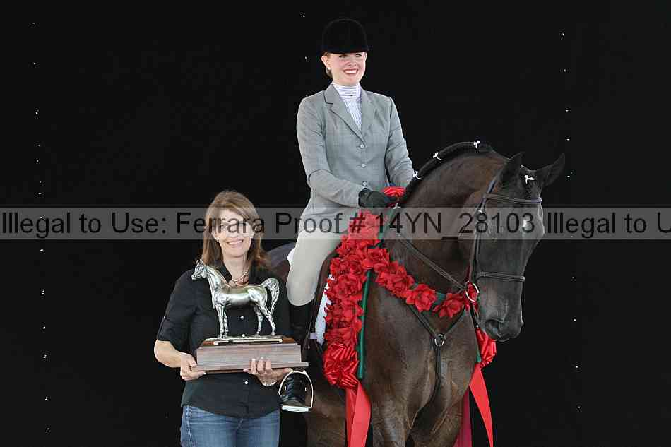 Proof 14yn_28103