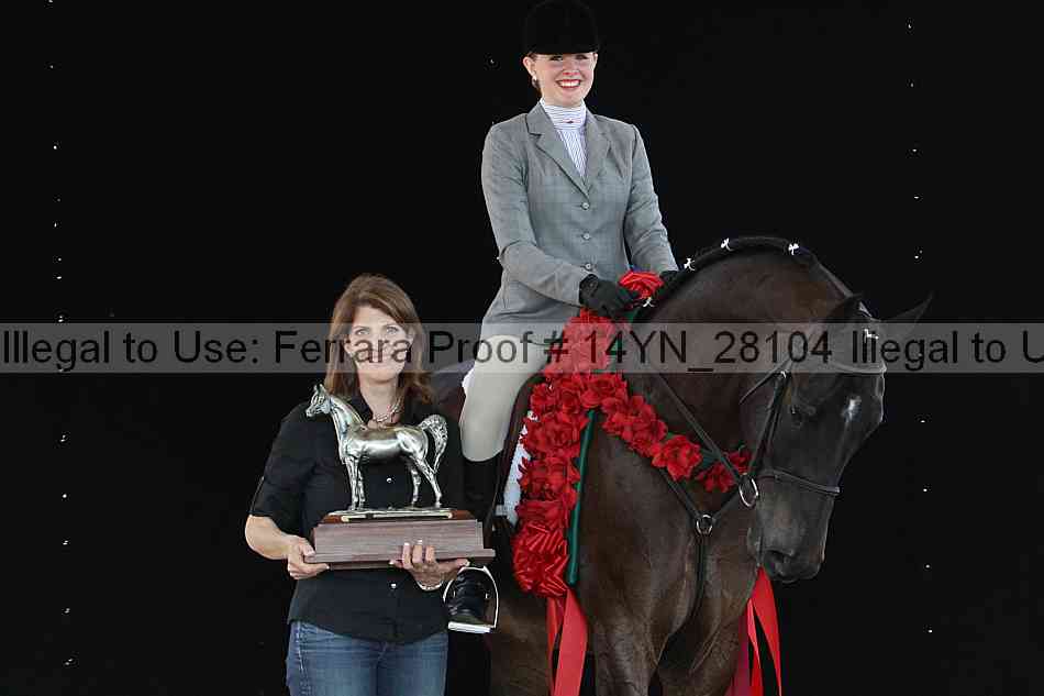 Proof 14yn_28104