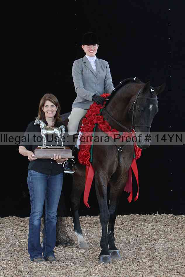 Proof 14yn_28105