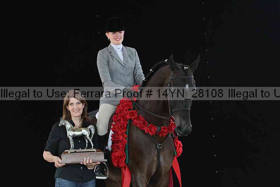 Proof 14yn_28108