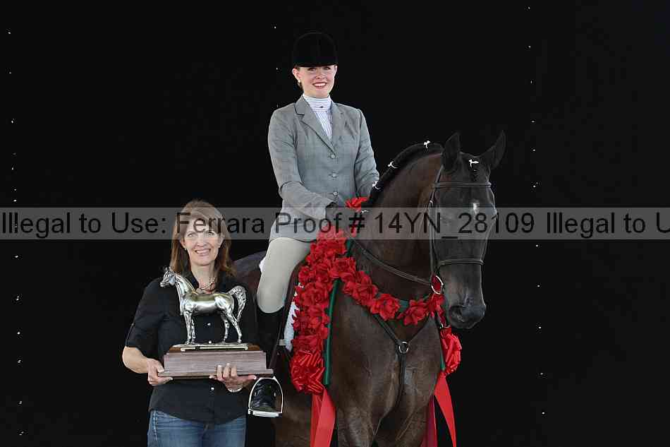 Proof 14yn_28109