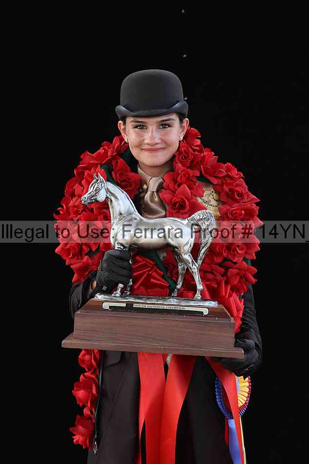 Proof 14yn_03667