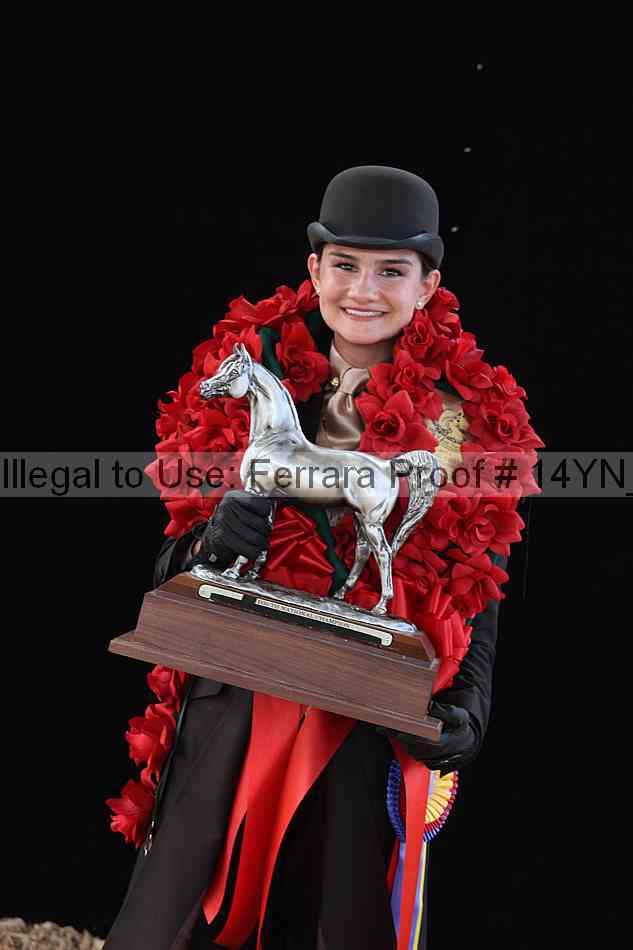 Proof 14yn_03668
