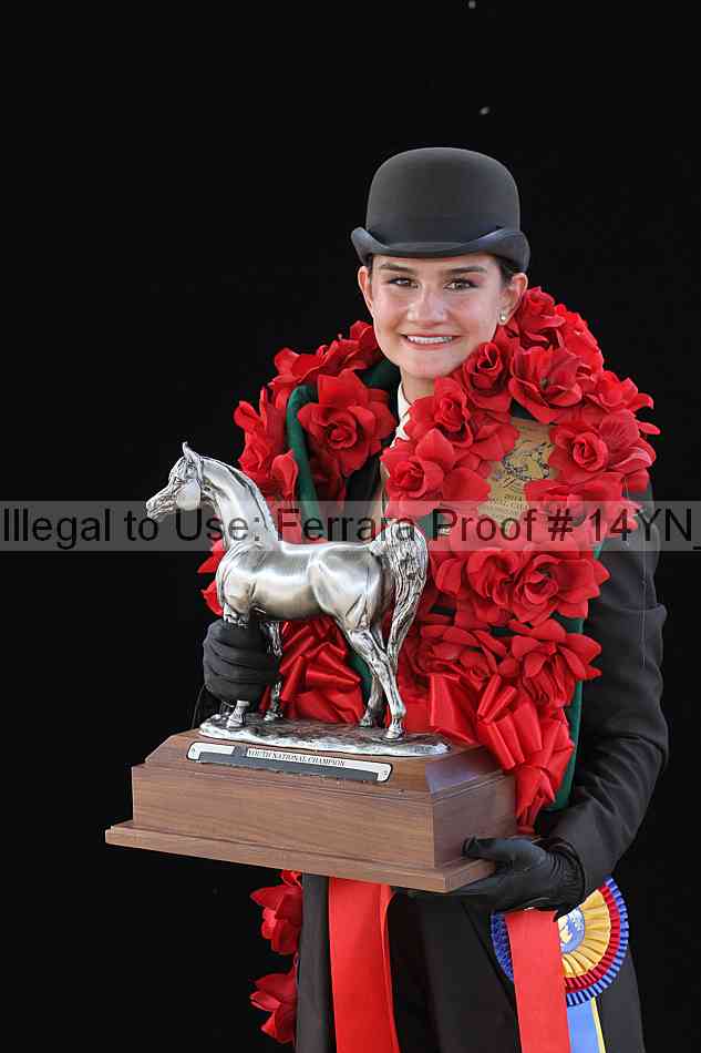 Proof 14yn_03670