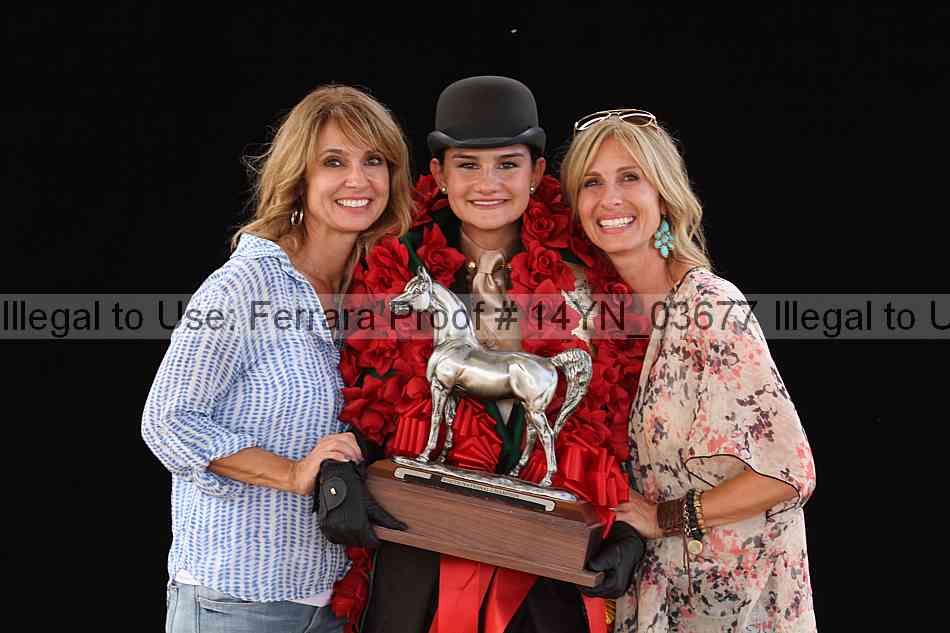 Proof 14yn_03677