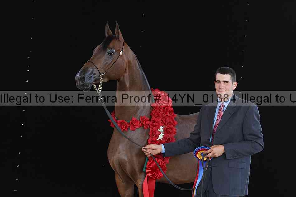 Proof 14yn_01384