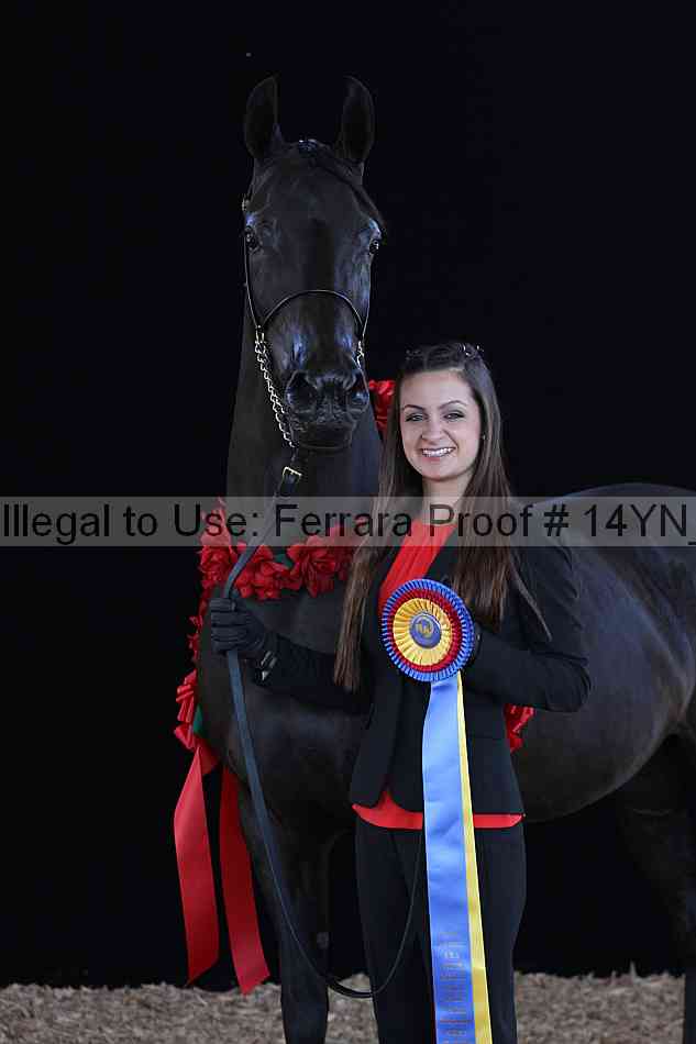 Proof 14yn_01398