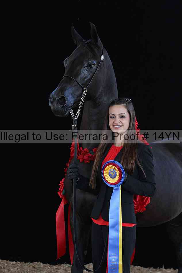 Proof 14yn_01399
