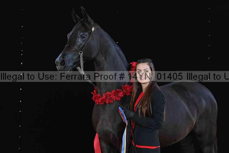 Proof 14yn_01405