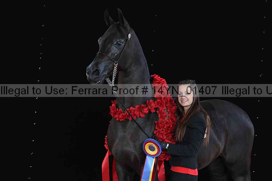 Proof 14yn_01407