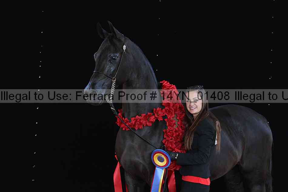 Proof 14yn_01408