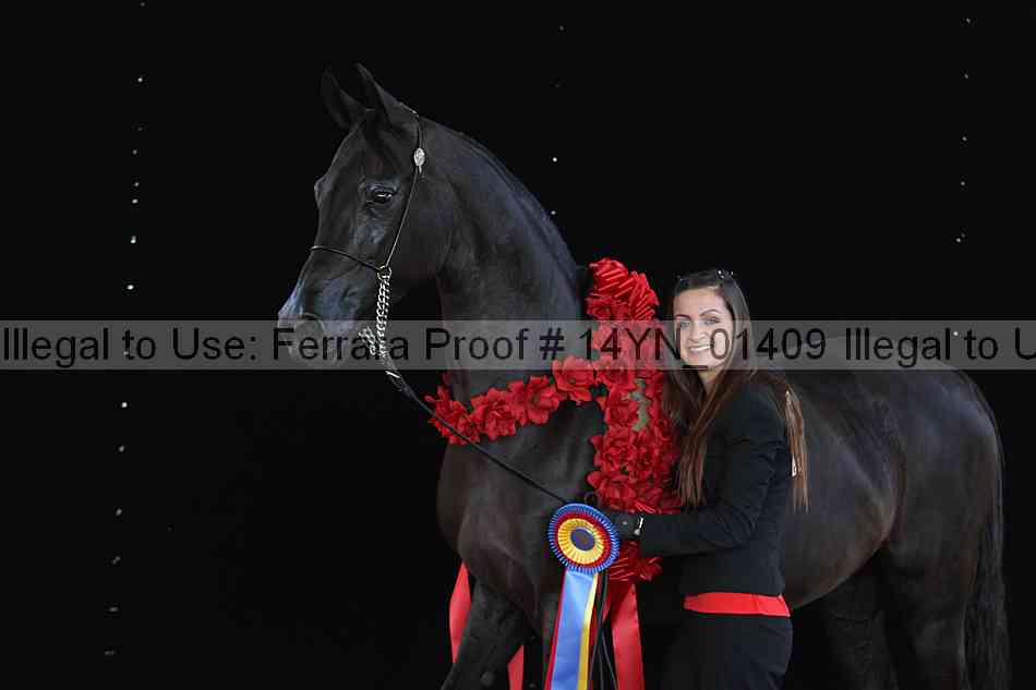 Proof 14yn_01409