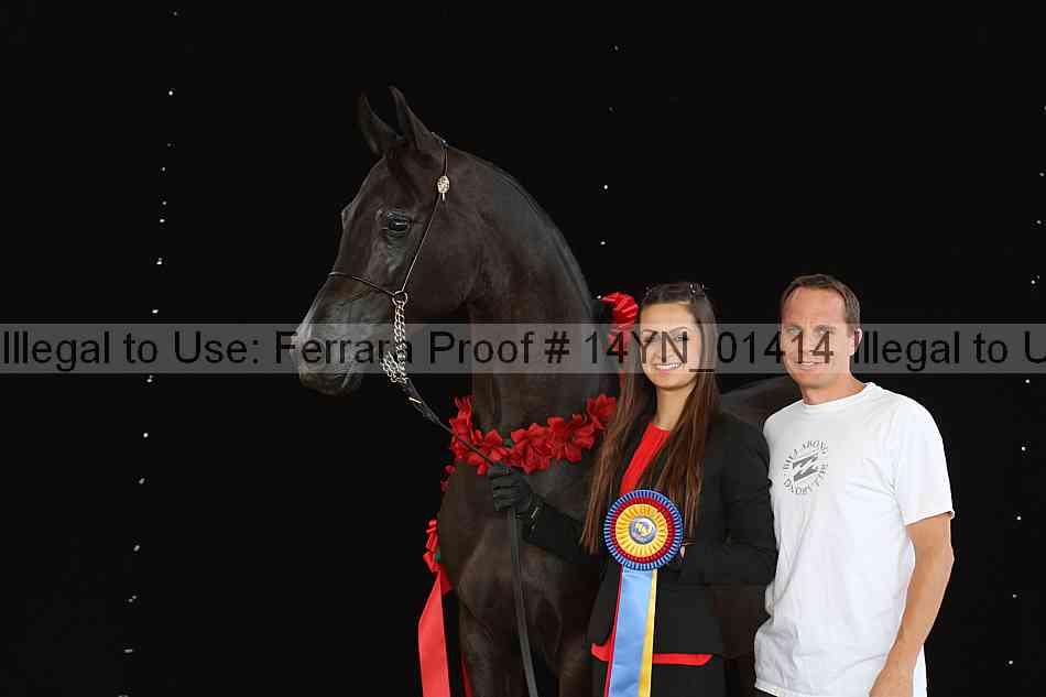 Proof 14yn_01414
