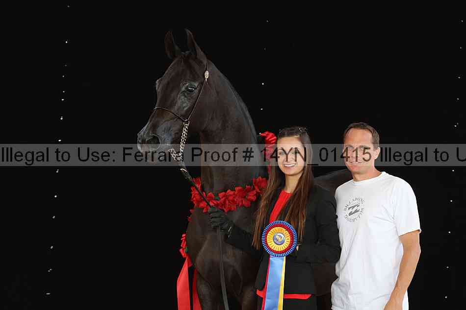Proof 14yn_01415