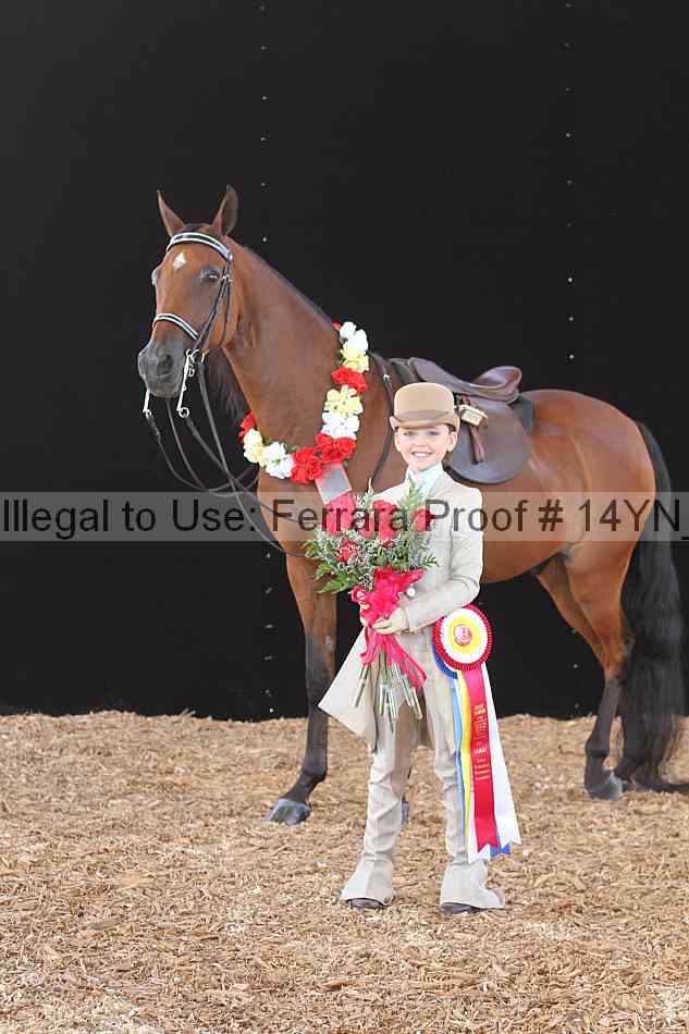 Proof 14yn_01439