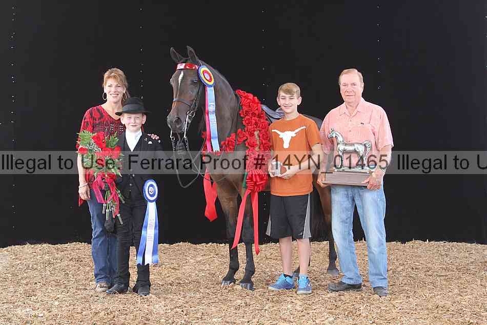 Proof 14yn_01465