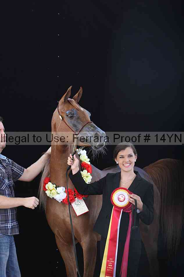 Proof 14yn_19415