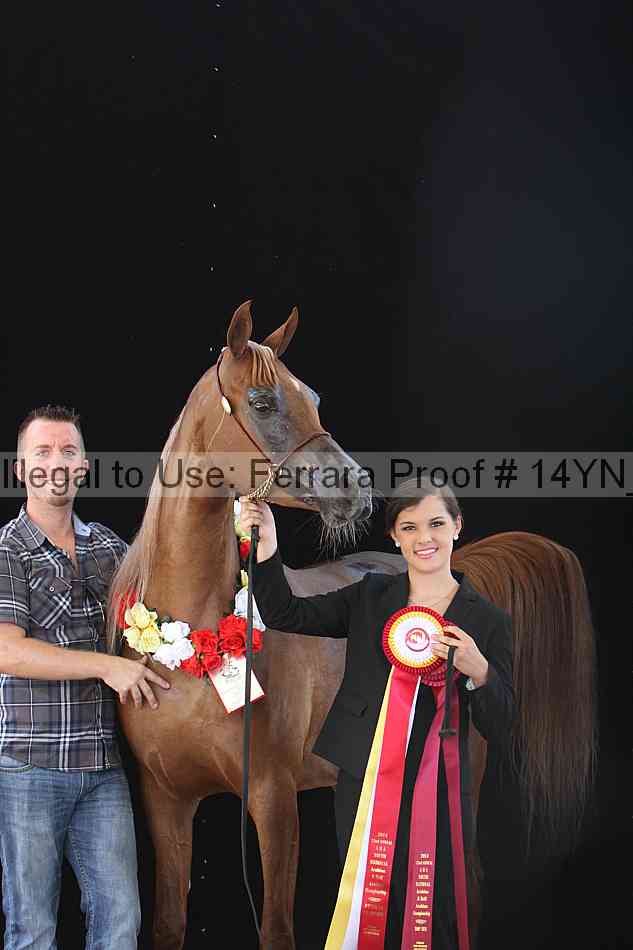Proof 14yn_19419
