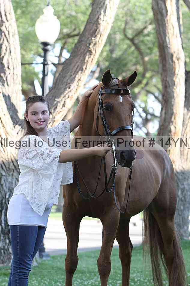 Proof 14yn_17357