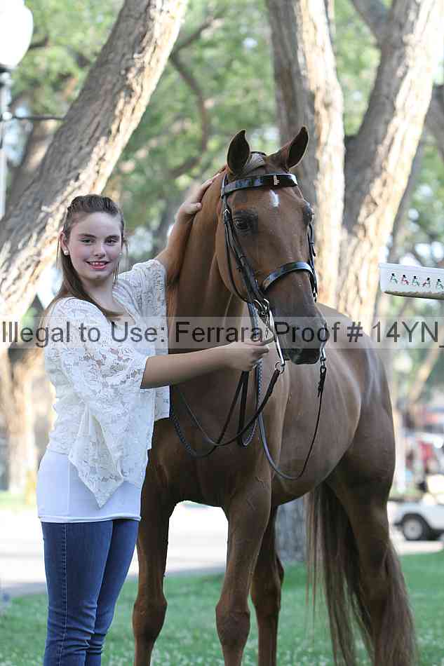 Proof 14yn_17362
