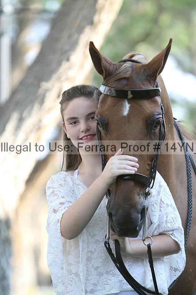 Proof 14yn_17377