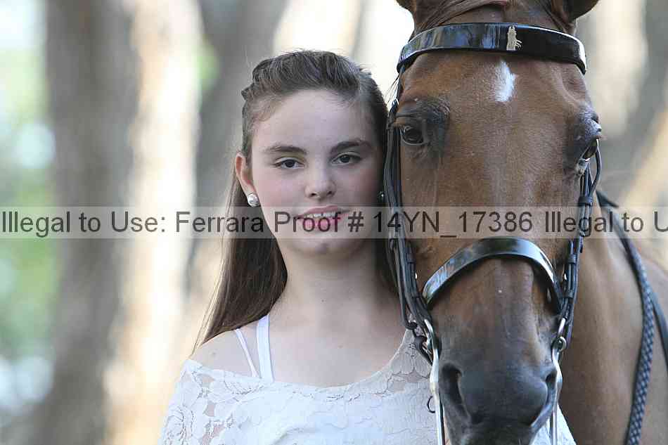 Proof 14yn_17386
