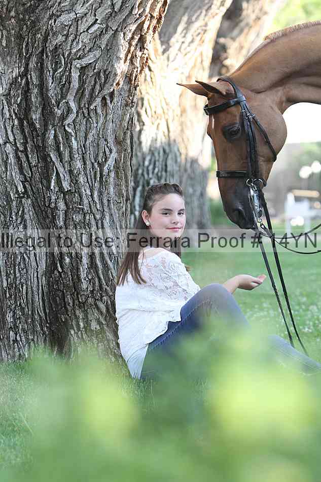 Proof 14yn_17390