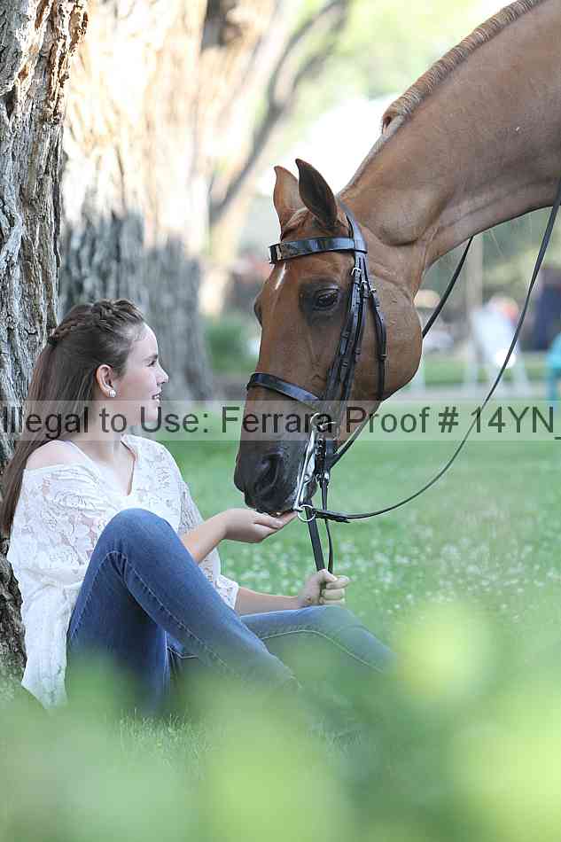 Proof 14yn_17394
