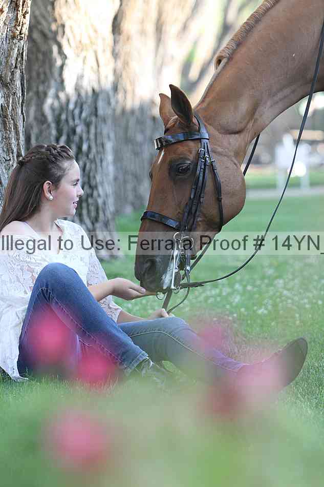 Proof 14yn_17396