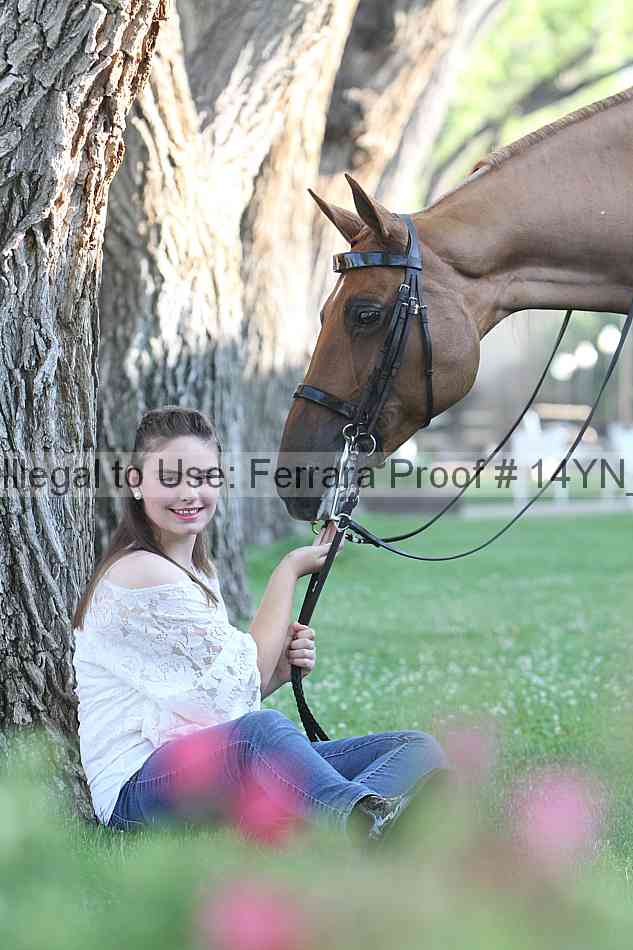 Proof 14yn_17405