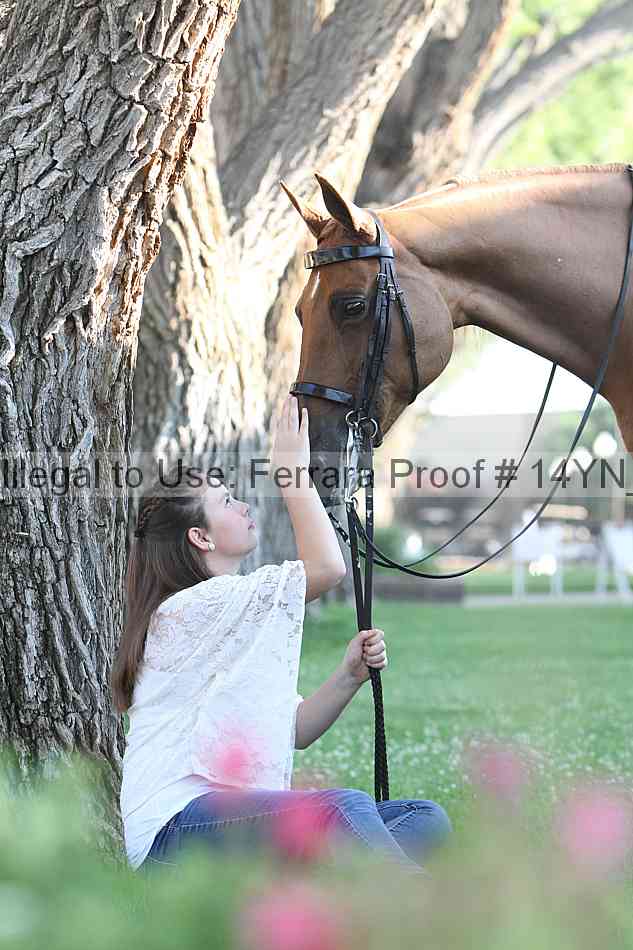 Proof 14yn_17407