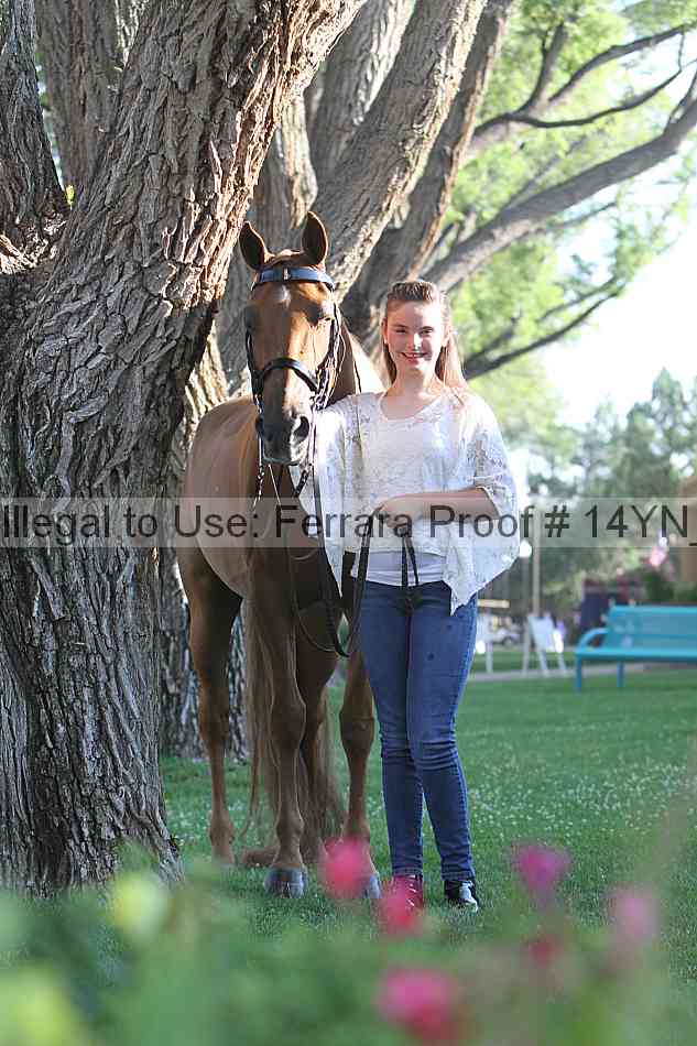Proof 14yn_17418