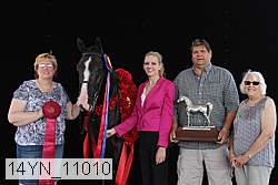 14yn_11010 proof