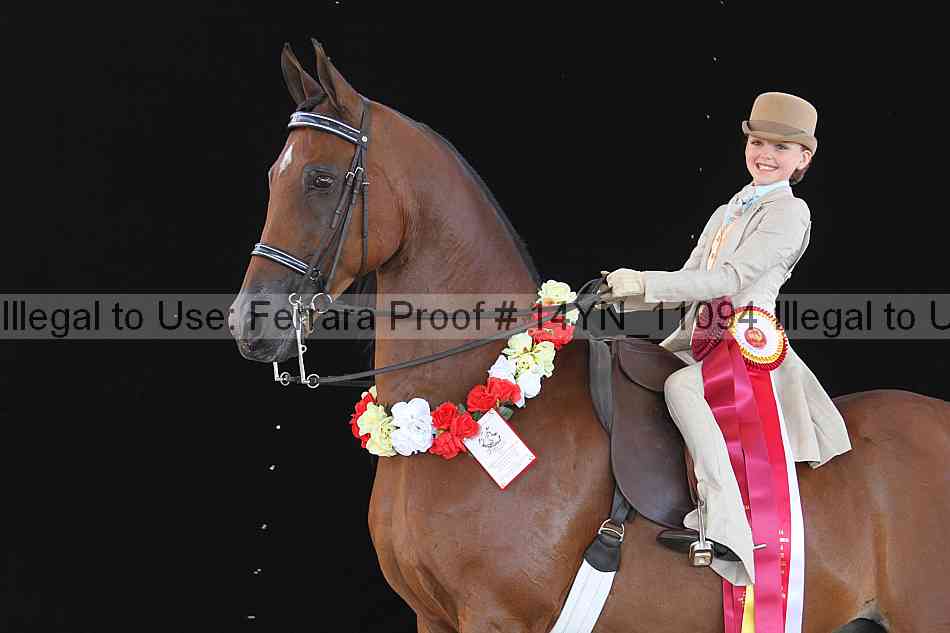Proof 14yn_11094