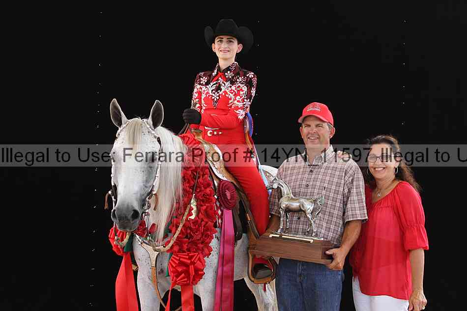 Proof 14yn_11597