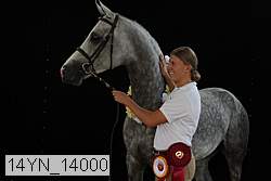 14yn_14000 proof